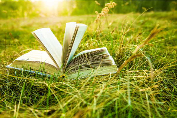 A book open on some grass