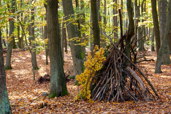 An outdoor shelter made from branches